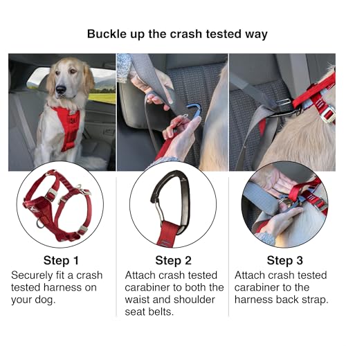 Kurgo Enhanced Strength Tru-Fit Dog Car Harness - Pet Travel Safety Harness - Crash Test Certified Fit - Five Point Adjustment - Secure Buckle - Padded Chest - Black - X-Large