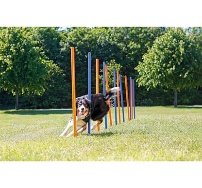 Trixie Dog Agility Slalom Course for All Breeds | 12 Adjustable Weave Poles - Agility at Home, Dog Obstacle Training Equipment