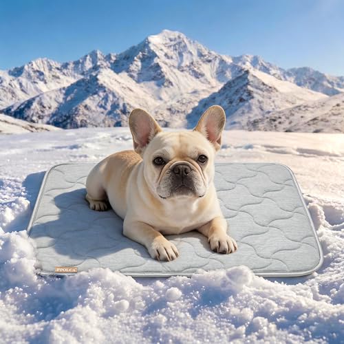 PPOLCA Waterproof Cooling Mat for Medium Dogs - Q-MAX>0.5, Thin Memory Foam Kennel Dog Crate Bed, Portable Non-Slip & Machine Washable Dog Pad for Indoor & Outdoor 21x29, Grey - color: Grey, size: 21x29