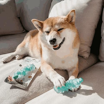 Small Breed Dog Chew Toys for Teething - Natural Rubber & Durable Nylon Toy for Puppies 0-12 Months, Interactive Gift for Small Dogs Under 30 lbs, Safe Teeth Cleaner & Anxiety Soother
