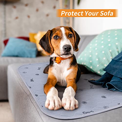 2Pack Puppy Pads Washable, 48x48 Reusable Pee Pads for Dogs, Absorbent Whelping Pads Waterproof Dog Rug Non-Slip Protector for Housbreaking,Potty Training,Bed Couch Carpet - size: 48X48" (Pack of 2)