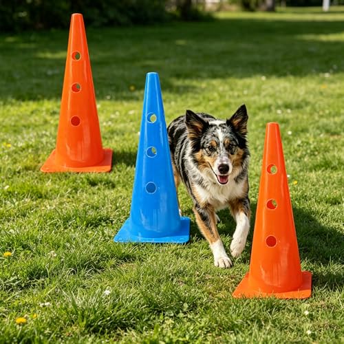 TNZMART Dog Agility Jumps Hurdles and Weave Poles Training Equipment Set Adjustable Dog Cones Obstacle Course for Backyard Portable Canine Exercise Kit with Carry Bag (Mix 4, 19 in) - size: 19 in