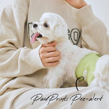 WICKEDPUP Male Dog Belly Band Kit, 50 Diaper Pads & 1 Reusable Male Wrap (Size 0 (10.5"-14" Waist)) - size: Size 0 (10.5"-14" Waist)