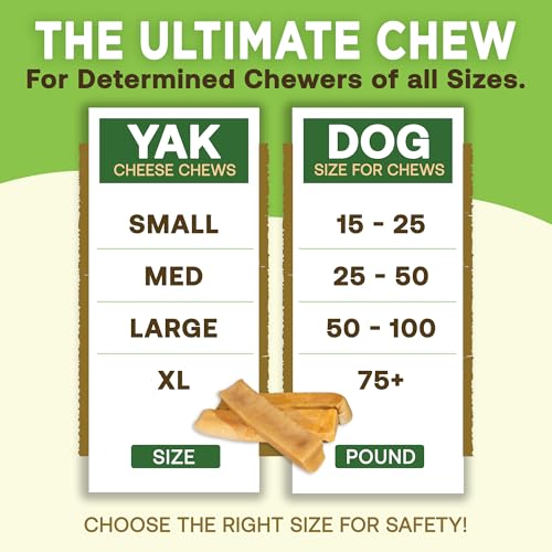 EcoKind Yak Cheese Himalayan Dog Chews, Yak Chews for Small Dogs, Long Lasting Bone for Aggressive Chewers, Only 3 Ingredients, Natural High Protein Treats, No Additives, Lactose Free, Small - 4 Chews