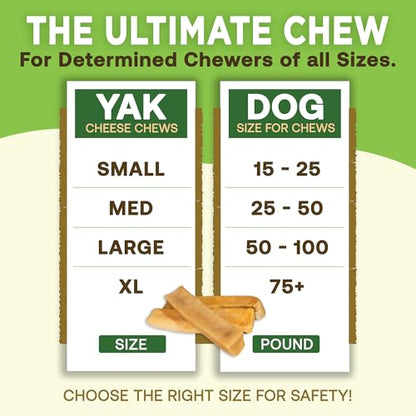 EcoKind Yak Cheese Himalayan Dog Chews, Yak Chews for Small Dogs, Long Lasting Bone for Aggressive Chewers, Only 3 Ingredients, Natural High Protein Treats, No Additives, Lactose Free, Small - 4 Chews