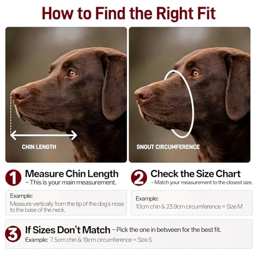 Pezluxe 2-Pack Dog Muzzle, Soft Air Mesh Muzzle Anti Biting Barking Chewing, Secure & Breathable Drinkable Pets Muzzles with Adjustable Strap, for Small Medium Large Dogs (Black-L) - size: L