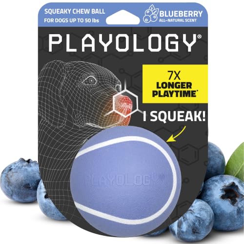 Playology Dog Toys | Squeaky Chew Ball for Dogs | Blueberry Scented Medium Dog Ball | Bouncy Floating Chew Toys for Fetch - size: Medium, style: Blueberry