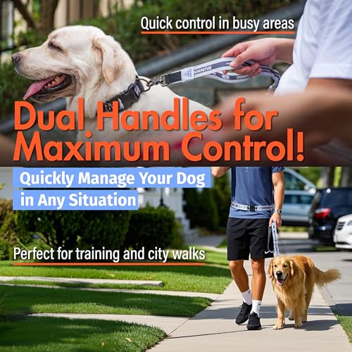 Hands Free Dog Leash with Waist Belt Lifetime Replacement, Dual Handle Bungee Leash for Running, Jogging, Hiking and Walking, for Medium and Large Dogs 5518 - color: Orange