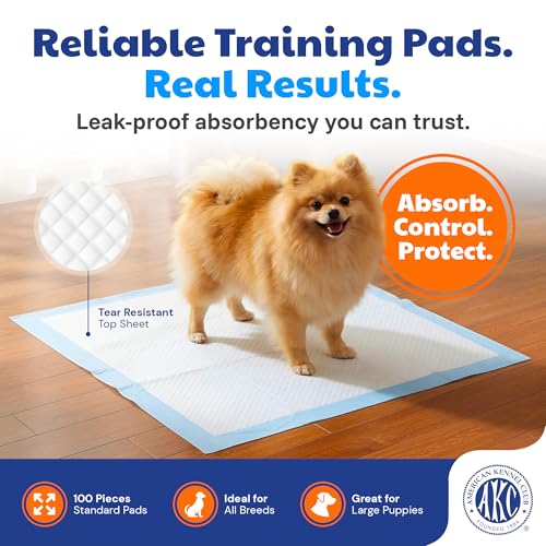 American Kennel Club Scented Puppy Training Pads with Ultra Absorbent Quick Dry Gel – 22 x 22 Pee Pads for Dogs - Fresh Scented - Pack of 100 - size: 22 x 22 - 100 Count
