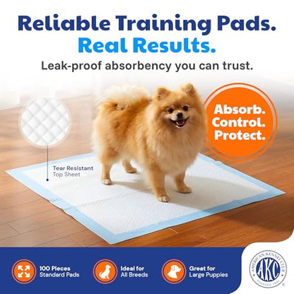 American Kennel Club Scented Puppy Training Pads with Ultra Absorbent Quick Dry Gel – 22 x 22 Pee Pads for Dogs - Fresh Scented - Pack of 100 - size: 22 x 22 - 100 Count