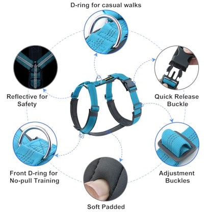 Plutus Pet No Pull Dog Harness, Adjustable Nylon Harness with Soft Padding, Reflective and Heavy Duty Dog Harness for Small, Medium, Large Dogs(Cyan, M) - color: Cyan, size: M