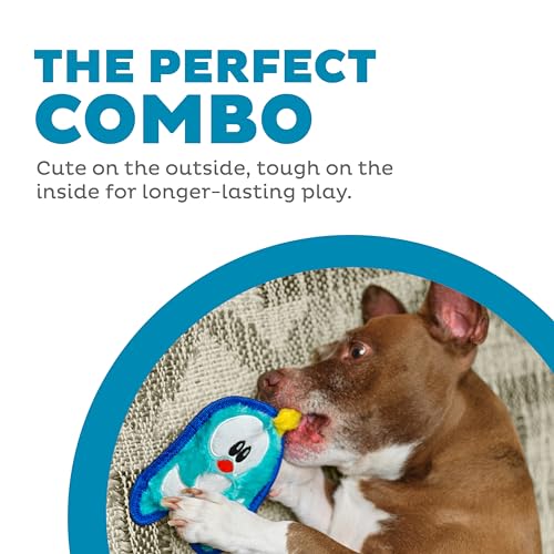 Outward Hound Durablez Minis – Squeaky Plush Dog Toy, No Stuffing for Less Mess, Interactive & Tough, Jumbo Squeaker, Puppies & Small Dogs, Penguin, 6.3" (Pack of 2) - color: Blue Penguin, size: X-Small (Pack of 2)