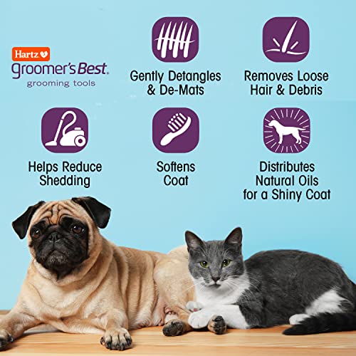 Hartz Groomer's Best Small Slicker Brush for Cats and Small Dogs, Black/Violet, 1 Count - size: 1 Count (Pack of 1), style: Small Slicker Brush