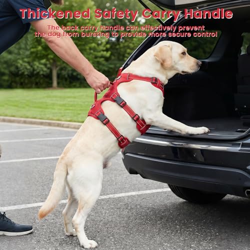 Escape Proof Dog Harness and Leash Set,Soft Padded Full Body Pet Harness, No Pull Reflective Adjustable Dog Vest with Handle, Easy Control Dog Harness for Medium Large Dogs Training Walking Running - color: Red, size: L