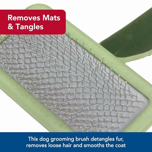 Coastal Pet Safari Dog Soft Slicker Brush - Dog Grooming Brush for Shedding - for Dogs with Short, Medium and Long Hair - Small - 6.5" x 2.5" - size: Small