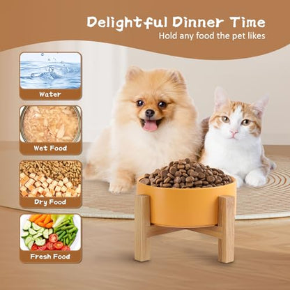 Elevated Ceramic Cat Bowl - Cat Food Bowl with Bamboo Stand - Raised Dog Dish for Puppies - Anti Vomiting, Stress Free - 13.5 oz / 400 ml - White - color: White, size: Small