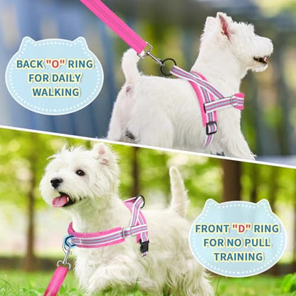 Lukovee No Pull Dog Harness and Leash Set, Soft Padded Small Dog Harness, Neck & Chest Adjustable Reflective Vest Puppy Harness with 4ft Lightweight Anti-Twist Dog Leash for Small Dogs (S, Fuschia) - color: Fuchsia - with Stripe, size: S ( Chest 17.5'' ~