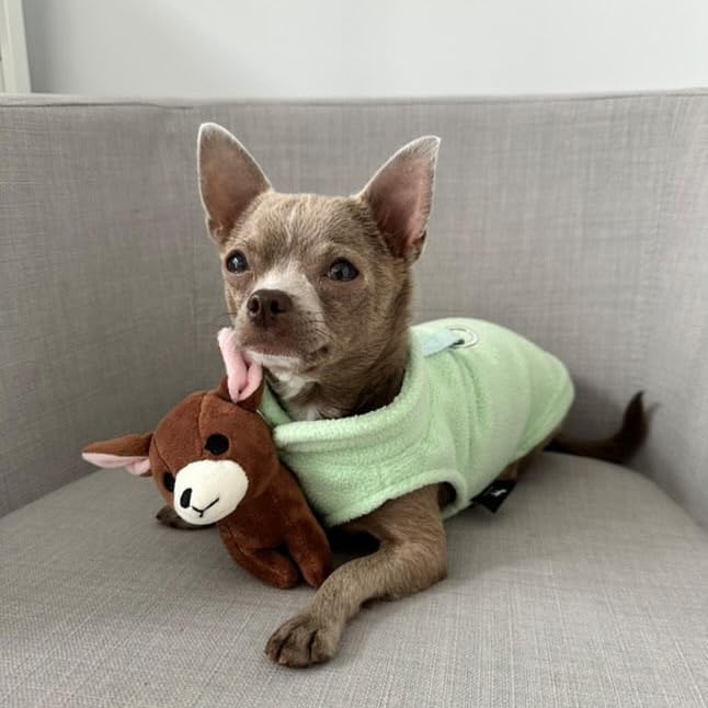 JACKO & CO - Fleece Vest Dog Sweater with Leash Ring - Soft, Warm & Lightweight Pullover Coat for Small & Medium Dogs, Puppies & Cats - Cozy Fall/Winter/Spring Pet Jacket (Mint Green, X-Small 3lbs) - color: Mint Green, size: XS (2-4lbs)