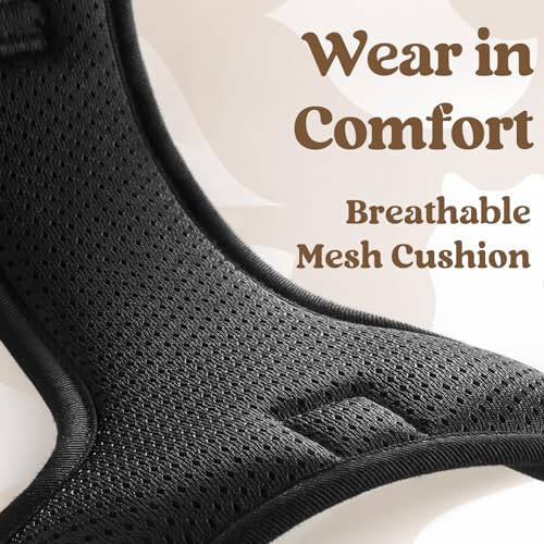 rabbitgoo Dog Harness Small Sized, No Pull Pet Harness with 3 Buckles, Adjustable Soft Padded Vest with Control Handle, Walking Reflective Pet Vest for Small Dogs, Black, S - color: Black, size: Small