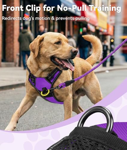 Joytale No Pull Dog Harness Medium Sized Dog, Reflective Pet Vest with Front Clip, Adjustable Soft Padded Harnesses with Easy Control Handle for Training and Walking, Purple, M - color: Purple, size: Medium