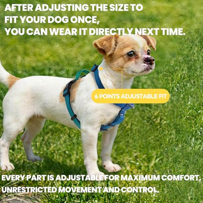 Roses&Poetry Dog Harness Small Sized Dog, 6 Point Adjustable Fit No Pull Harness with Handle for Control and Easy Walking, Reflective Pet Halter Harnesses（Bluegreen-S） - color: BlueGreen, size: S