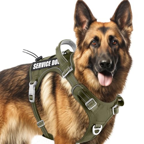 BARKBAY Service Dog Vest Tactical Dog Harness Medium Large Sized Dog No Pull Adjustable Dog Harness Reflective K9 Working Training Easy Control Military Molle System(Green,L) - color: Green, size: Large