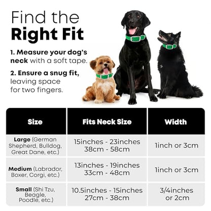 Regal Dog Products Small Green Reflective Dog Collar with Custom Engraved Name Plate and Heavy Duty Center Ring | Waterproof Biothane Personalized Dog Collars - Other Sizes for Medium & Large Dogs - color: Green, size: Small