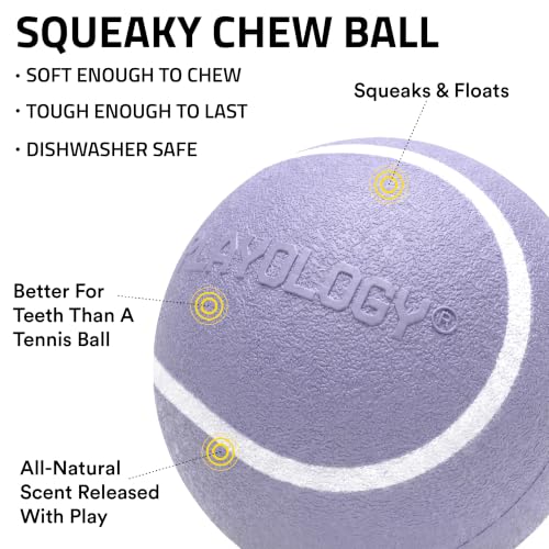 Playology Dog Toys | Squeaky Chew Ball for Large Dogs | Lamb Scented Jumbo Dog Ball | Bouncy Floating Chew Toys for Fetch - size: Jumbo, style: Lamb