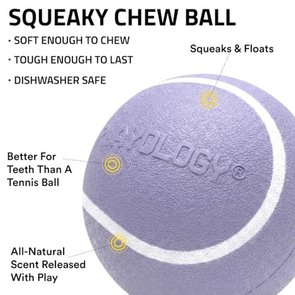 Playology Dog Toys | Squeaky Chew Ball for Large Dogs | Lamb Scented Jumbo Dog Ball | Bouncy Floating Chew Toys for Fetch - size: Jumbo, style: Lamb