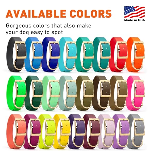 Viper Biothane Heavy Duty Waterproof Dog Collar Strong Coated Nylon Webbing w/Solid Brass Hardware Odor-Proof Easy to Clean High Performance Fits Small Medium or Large Dogs, Sea Foam Green