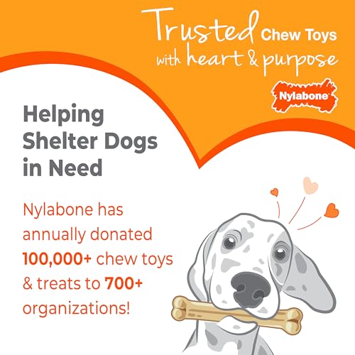 Nylabone New Puppy Starter Kit, 2 Chew Toys and 1 Natural Treat for Puppies, Puppy Teething Toy, Bacon & Chicken Flavor, Small Dogs - Up to 25 lbs., 3 Pack - size: Small