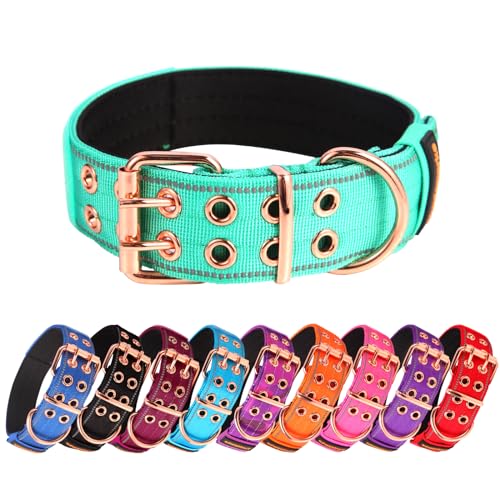 Heavy Duty Tactical Dog Collar with Neoprene Padded and Metal Buckle, Reflective Nylon for Medium to Large Dogs(Teal, Large) - color: Teal, size: Large (Pack of 1)
