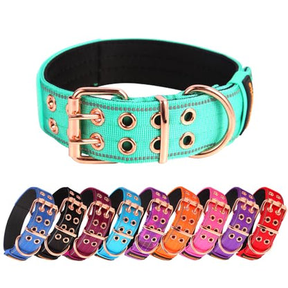 Heavy Duty Tactical Dog Collar with Neoprene Padded and Metal Buckle, Reflective Nylon for Medium to Large Dogs(Teal, Large) - color: Teal, size: Large (Pack of 1)