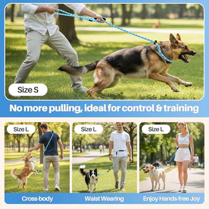 SlowTon Slip Lead Dog Leash, Adjustable 4-6 FT, 1/2” Rope, Heavy Duty Nylon Leashes with Padded Handle & Highly Reflective Threads, No Pull Training Leash for Medium Large Dogs 20-120lb (Light Blue,S) - color: Light Blue, size: 4-6 Ft