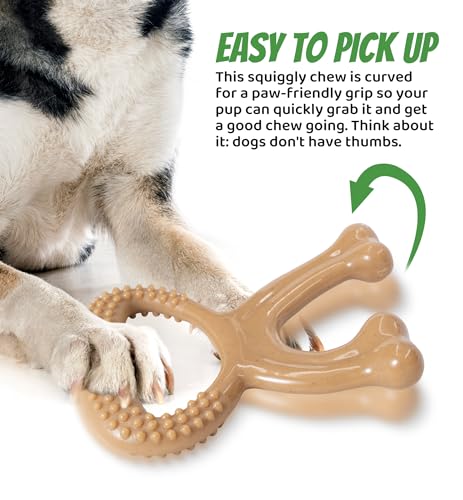 Durable Dog Chew Toy for Aggressive Chewers, Indestructible Nylon Bone Dental Care Teeth Cleaning Chew Toy for Small, Medium and Large Dogs, Keep Them Busy, Irresistible Beef Flavor (Brown) - color: Brown