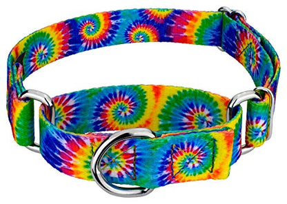 Country Brook Petz - Classic Tie Dye Martingale Dog Collar - Groovy Collection Featuring Far Out Designs (1 Inch, Large) - color: Classic Tie Dye, size: Large (Pack of 1)