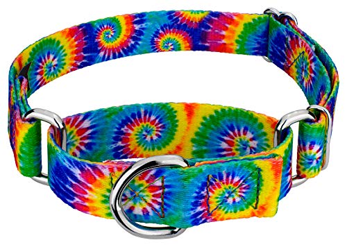 Country Brook Petz - Classic Tie Dye Martingale Dog Collar - Groovy Collection Featuring Far Out Designs (1/2 Inch, 2XS) - color: Classic Tie Dye, size: 2XS (Pack of 1)