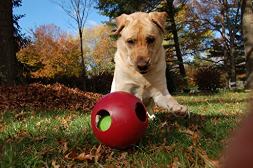 Jolly Pets Teaser Ball Dog Toy, Large/8 Inches, Red - color: Red, size: Large (8 in)