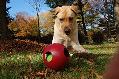 Jolly Pets Teaser Ball Dog Toy, Large/8 Inches, Red - color: Red, size: Large (8 in)