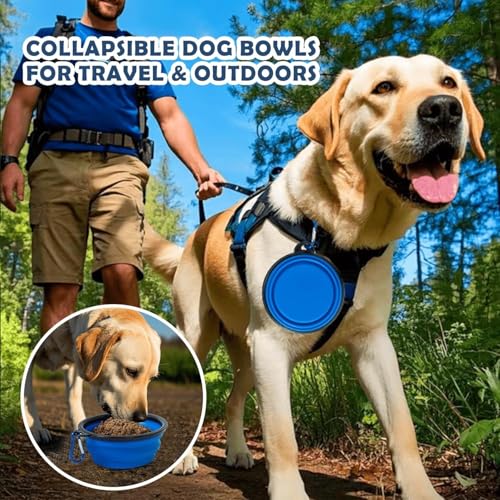 42 Inch Collapsible Soft Dog Crate for Extra Large Dogs, 3-Door Foldable Travel Dog Kennel with Durable Mesh Windows for Indoor & Outdoor, with Warm Blanket and Foldable Bowl - size: 42.0"L x 31.0"W x 31.0"H