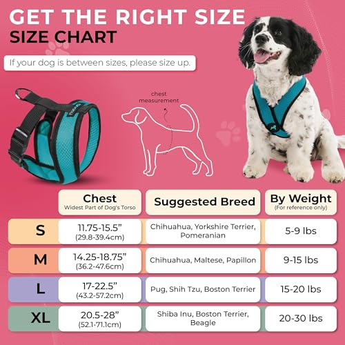 Gooby Comfort X Head-in Harness – Medium Dog Harness (9–15 lbs), Turquoise, No Pull, Choke-Free Design - color: Turquoise, size: Medium Chest (14.25-18.75")