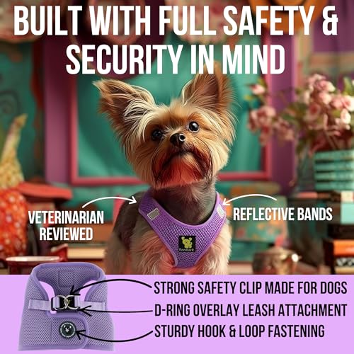 EcoBark Teacup Dog Harness - Step in Luxury Dog Harnesses for Teacup Breed Dogs - Reflective and Adjustable Mini Body Halter Vest -Tiny Soft Mesh Toy Breed Harness (Lavender, XXS) - color: Lavender, size: XXS- 4 to 5 lbs- Chest Up to 11 in (Pack of 1)