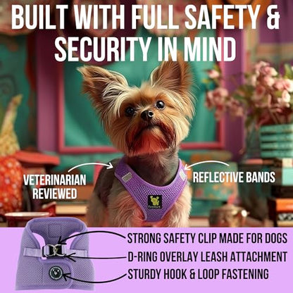 EcoBark Teacup Dog Harness - Step in Luxury Dog Harnesses for Teacup Breed Dogs - Reflective and Adjustable Mini Body Halter Vest -Tiny Soft Mesh Toy Breed Harness (Lavender, XXS) - color: Lavender, size: XXS- 4 to 5 lbs- Chest Up to 11 in (Pack of 1)