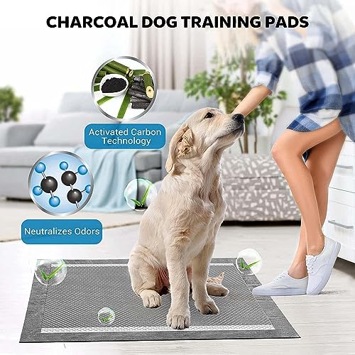 BinetGo Disposable Pee Pads for Dogs, 35 Count 30" x 36" XX-Large Wee Wee Pads for Dogs, Extra Absorbent Puppy Pads, Pet Training Pads for Dog, Charcoal Puppy Pee Pad for Indoors - size: XXL - 30" X 36"