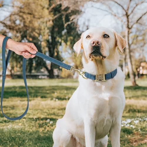 Personalized Dog Collars for Puppies, Custom Soft PU Leather Dog Collar with Engraved ID Name and Number, Adjustable & Durable Pet Collars with Quick Release Metal Buckle,XS(8-13") - color: Jade Blue-Engraving, size: X-Small: Fit 8-13" Neck