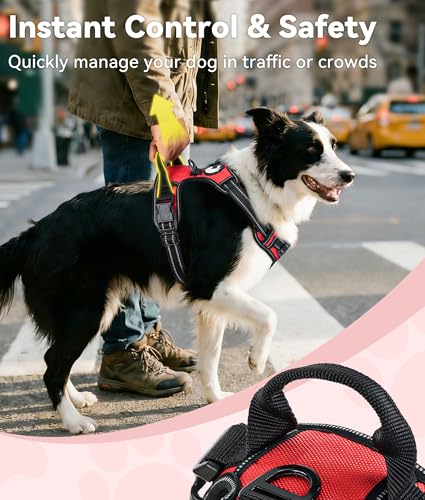 Joytale No Pull Dog Harness Medium Sized Dog, Reflective Pet Vest with Front Clip, Adjustable Soft Padded Harnesses with Easy Control Handle for Training and Walking, Red, M - color: Red, size: Medium
