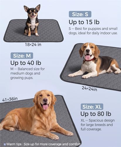 Doglike [Upgraded Silver-Ion Odor] Washable Pee Pads for Dogs – Ultra Absorbent, Leak-Proof, Non-Slip & 5-Hour Quick-Drying Reusable Puppy Training Pads for Home, Crate & Sofa,24" x 18" (2 Pack) - size: 24" x 18"【Industry #1 Ag+ Fabric Application】