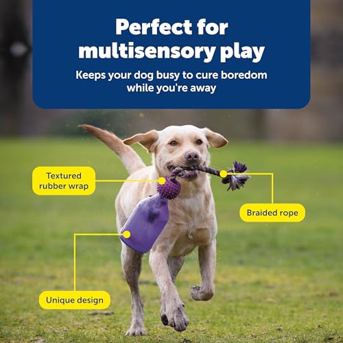 PetSafe Busy Buddy Tug-A-Jug Meal-Dispensing Dog Toy Use with Kibble or Treats Small