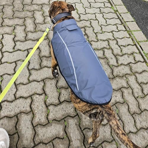 Mile High Life Dog Raincoat, Adjustable Waterproof Reflective Rain Jacket for Small Medium Large Dogs, Lightweight Breathable Pet Rain Coat with Leash Hole(Dark Gray,XXS Chest 16-19") - color: Dark Gray, size: XXS Chest 16"-19"