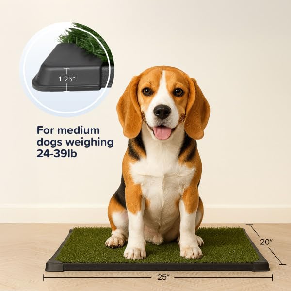 Artificial Grass Puppy Pee Pad for Dogs and Small Pets - 20x25 Inch, Reusable 3-Layer Turf Pads for Dogs with Tray - Indoor and Outdoor Fake Grass Potty Pet Supplies by PETMAKER - size: Medium 3-Layer System
